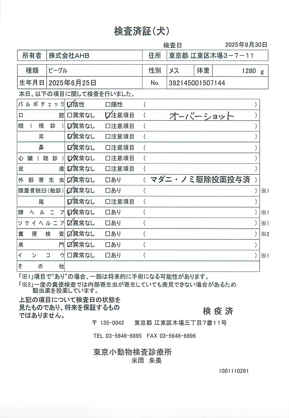 ビーグル