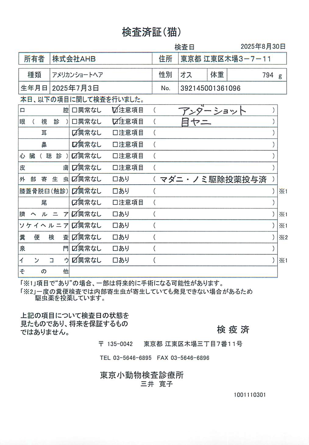アメリカンショートヘア
