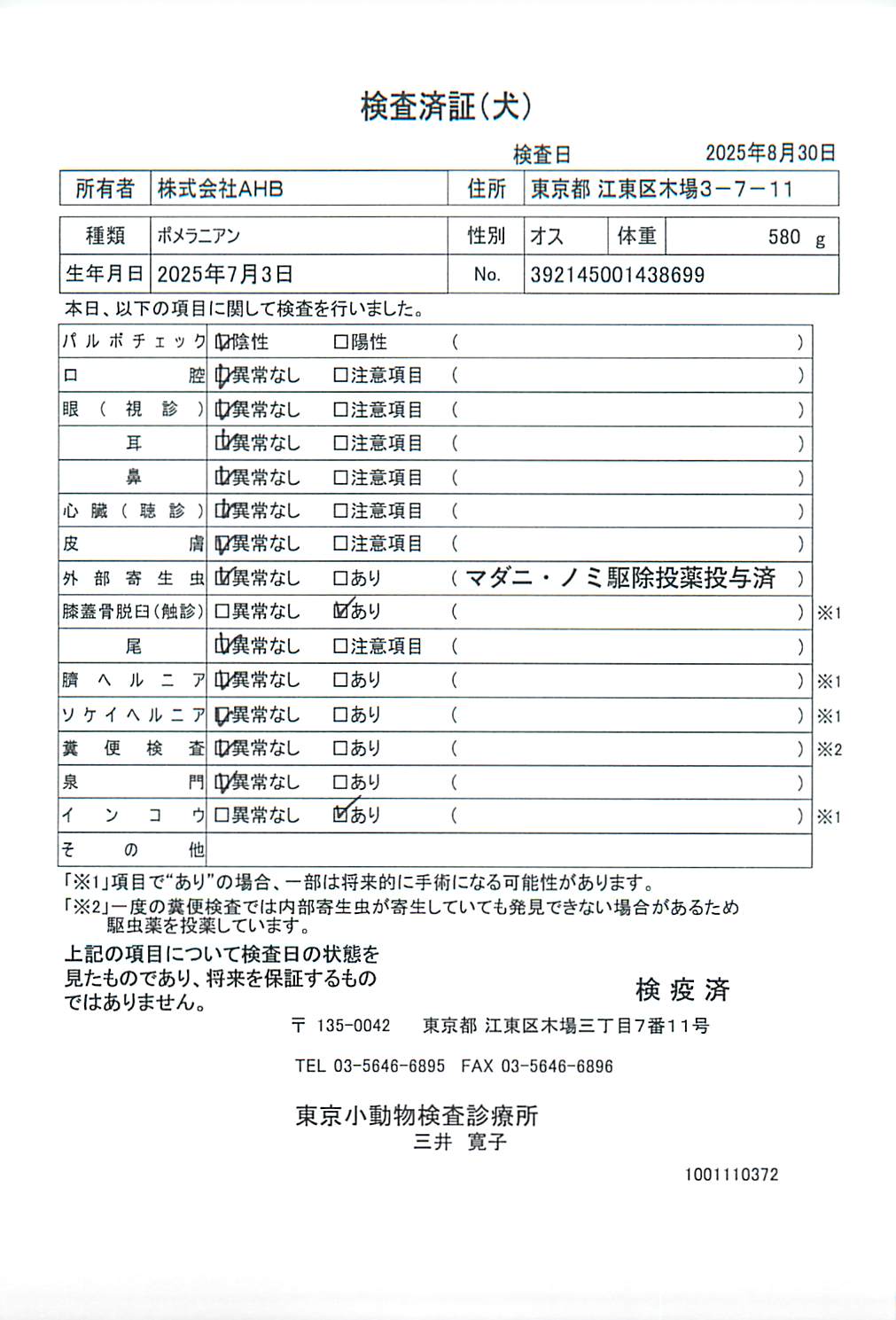 ポメラニアン