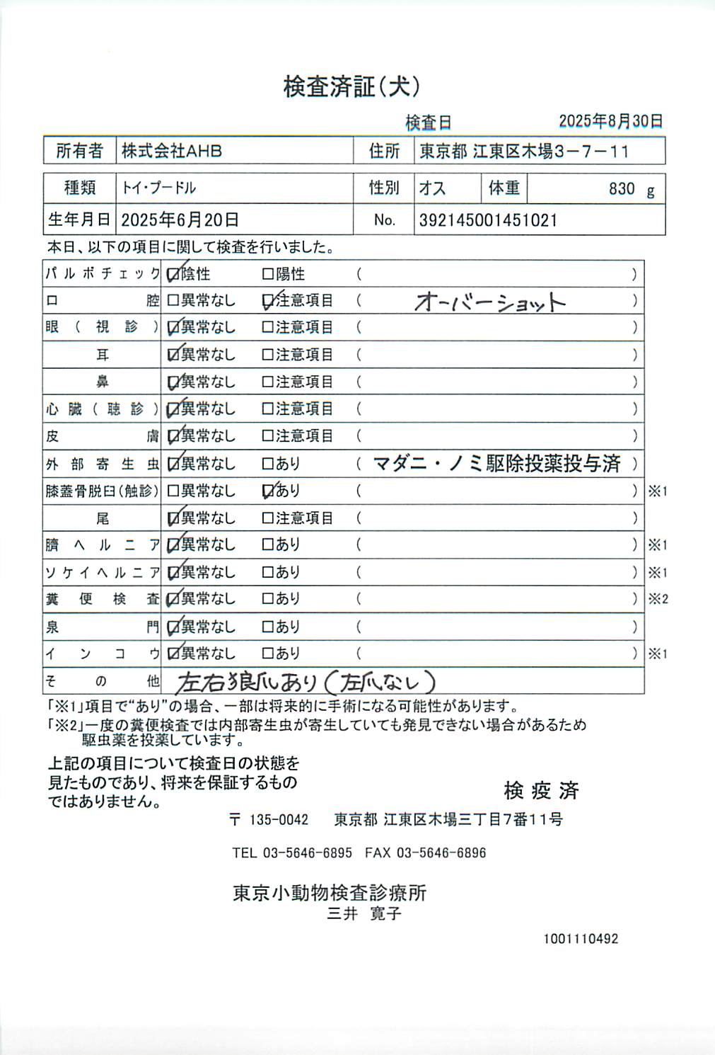 トイ・プードル