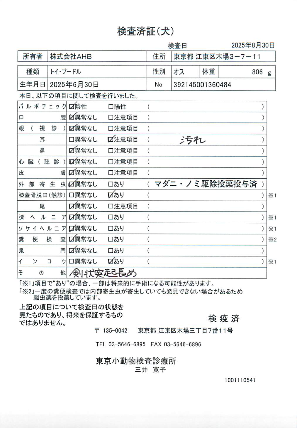 トイ・プードル