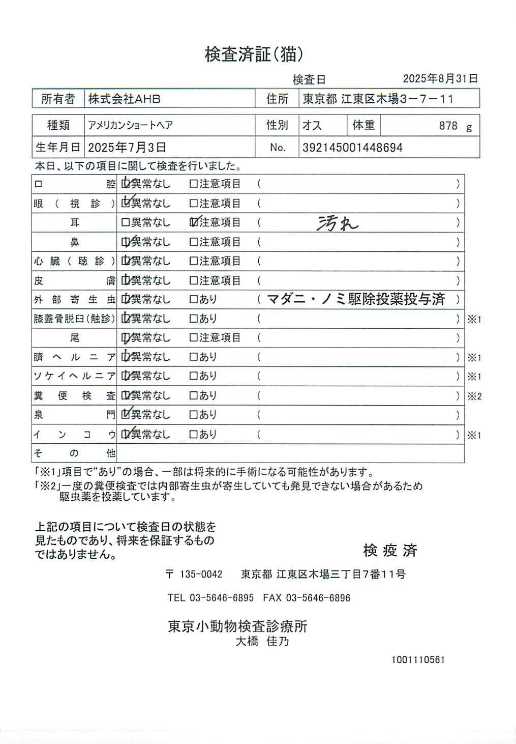アメリカンショートヘア