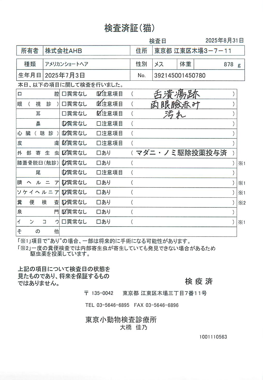 アメリカンショートヘア