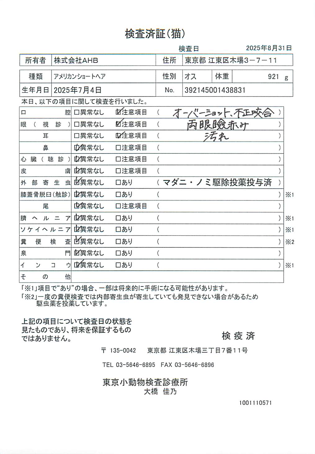 アメリカンショートヘア
