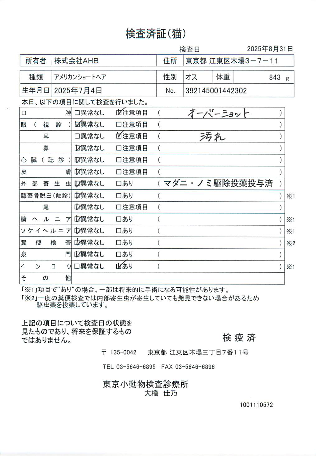 アメリカンショートヘア