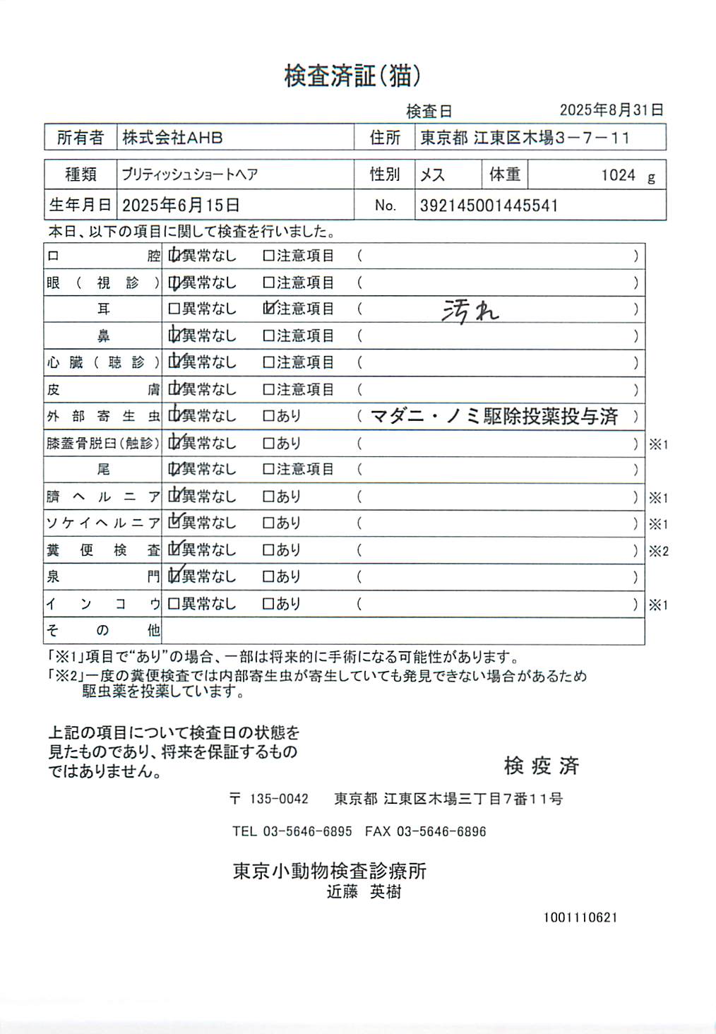 ブリティッシュショートヘア