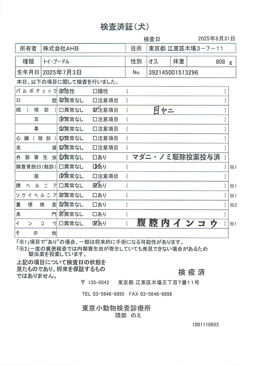 トイ・プードル