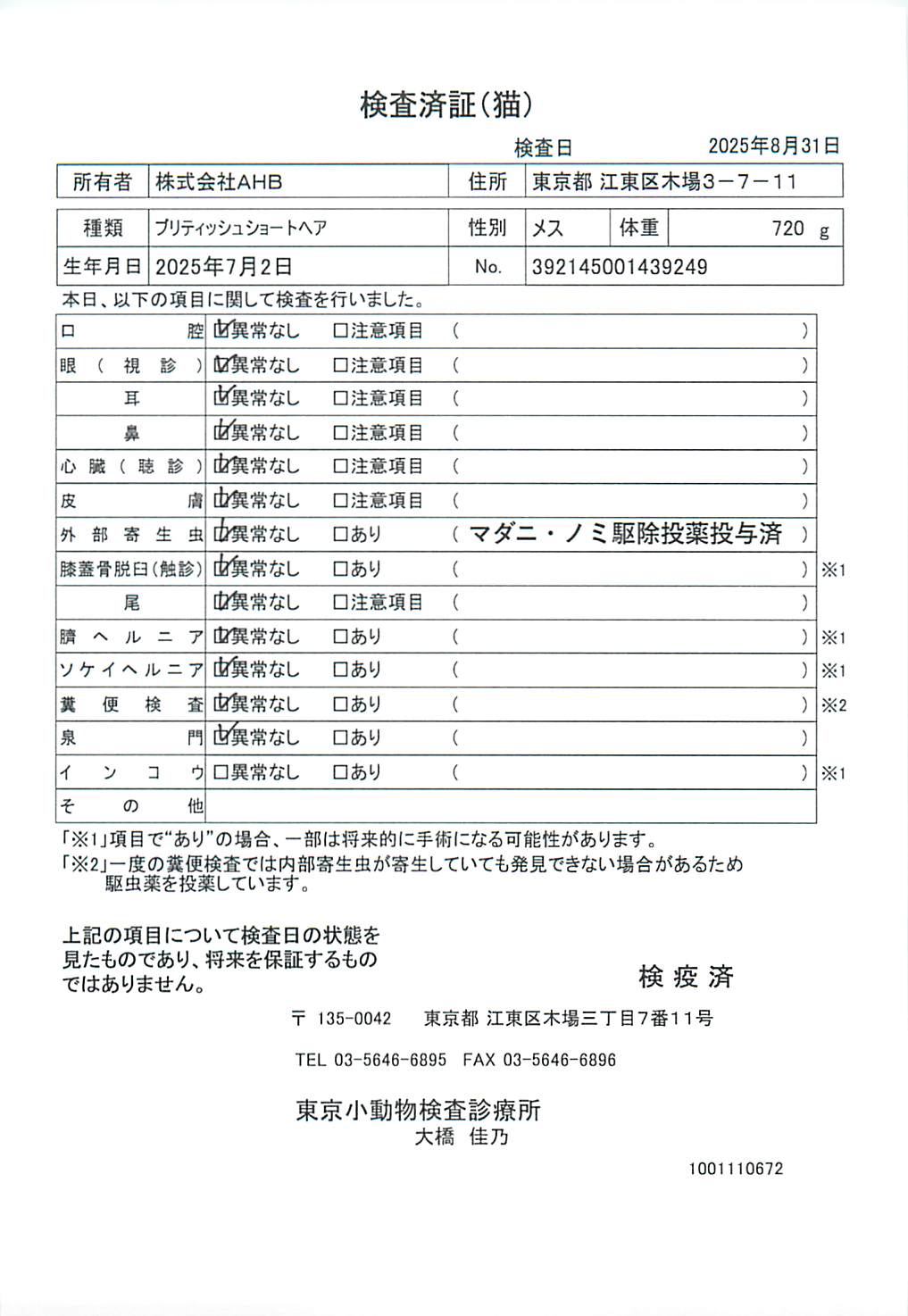 ブリティッシュショートヘア