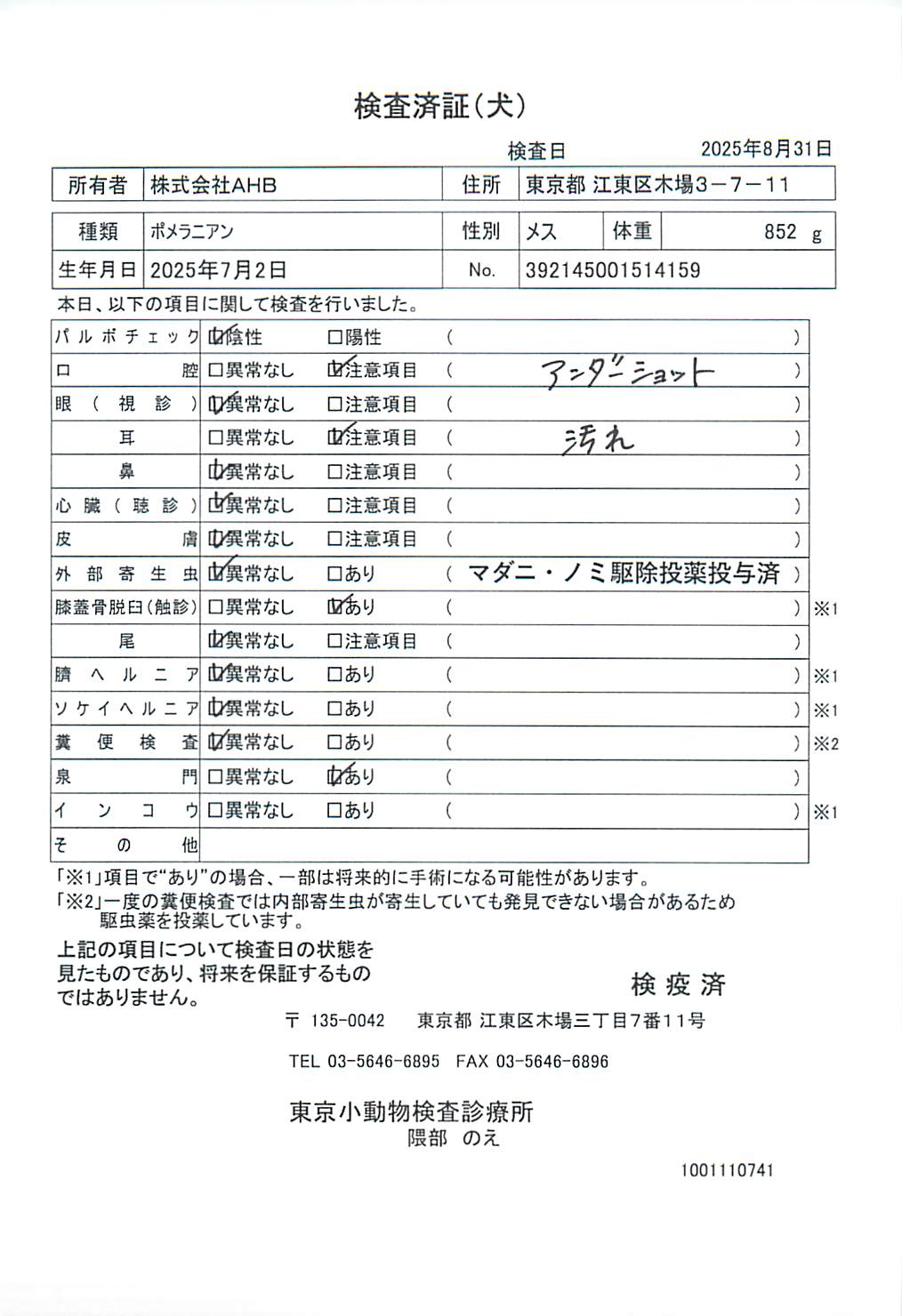 ポメラニアン