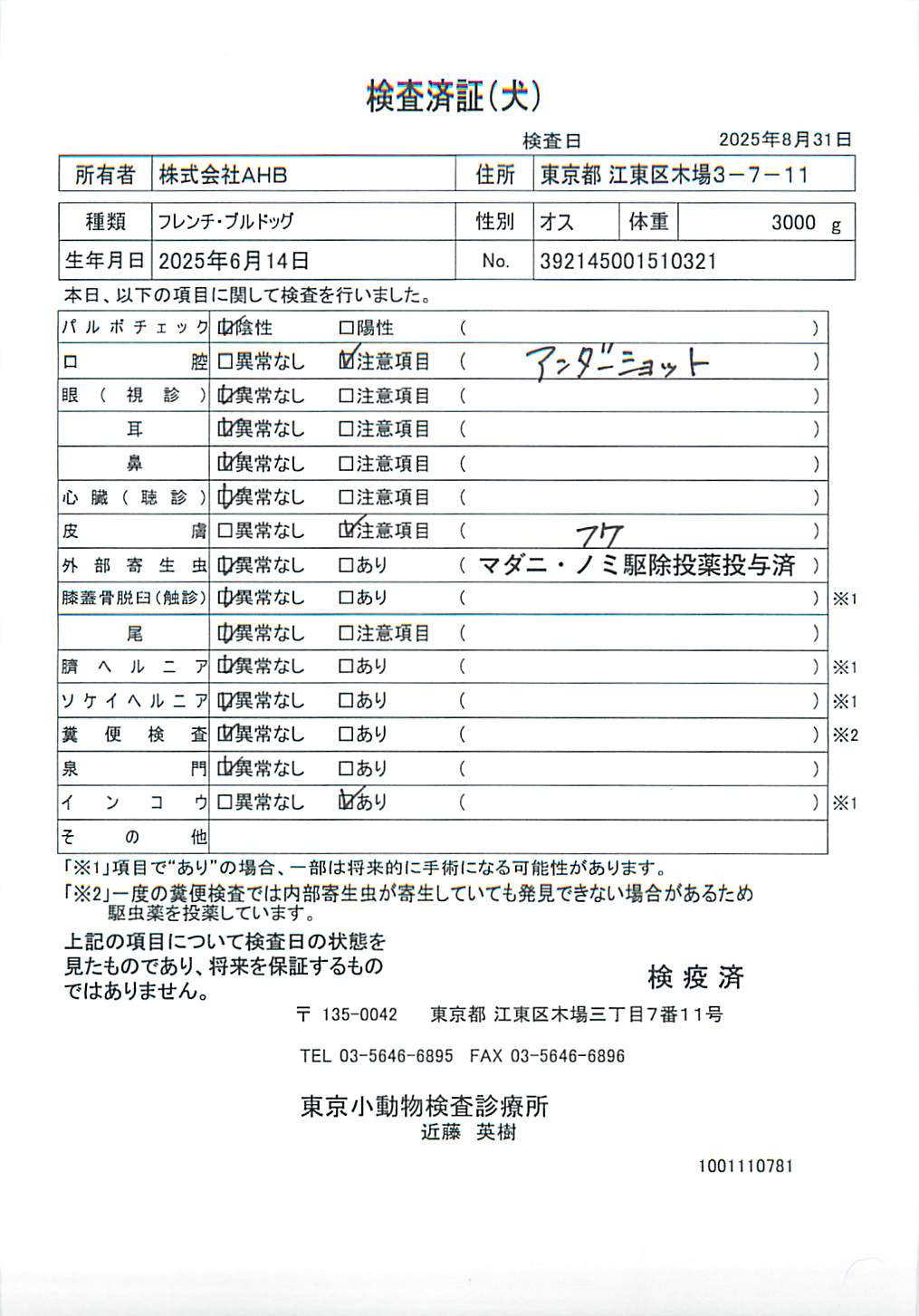 フレンチ・ブルドッグ