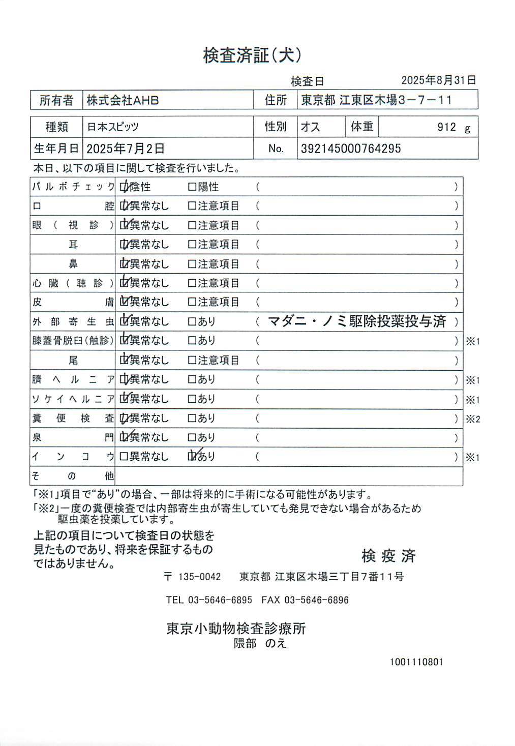 日本スピッツ