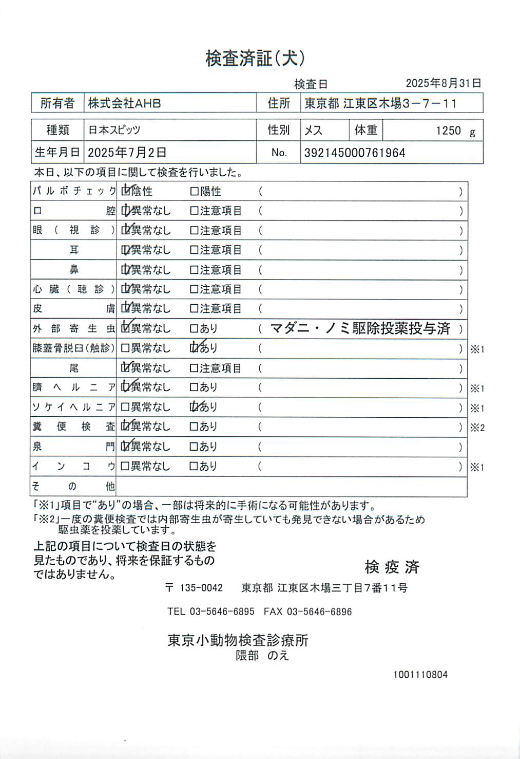 日本スピッツ