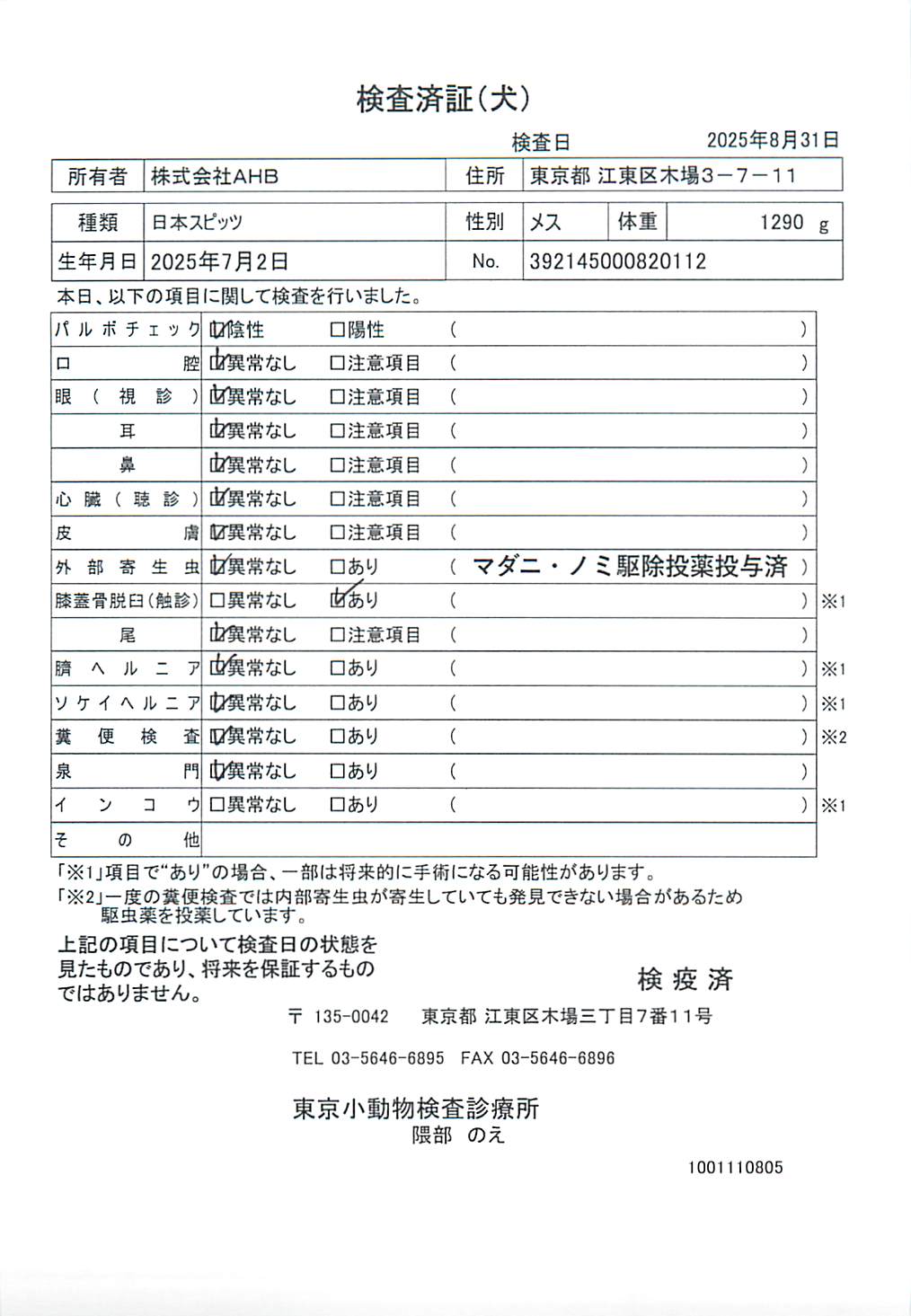 日本スピッツ