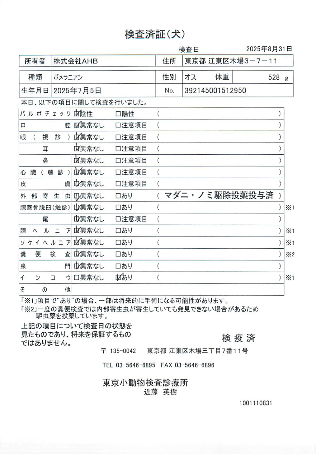 ポメラニアン