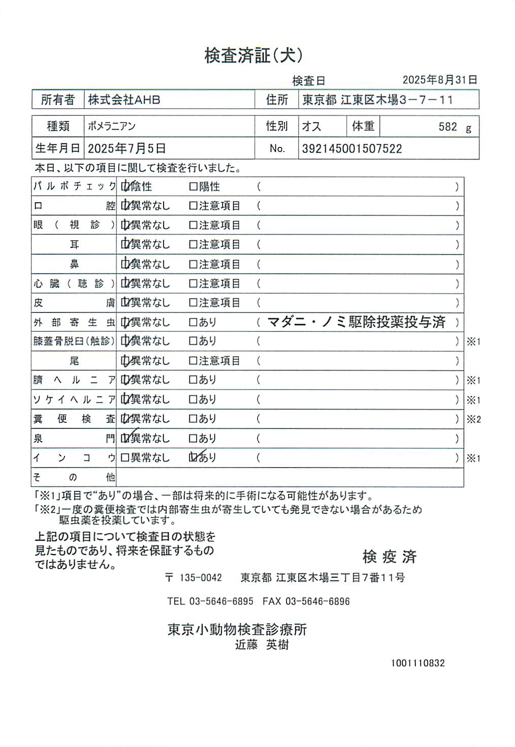 ポメラニアン