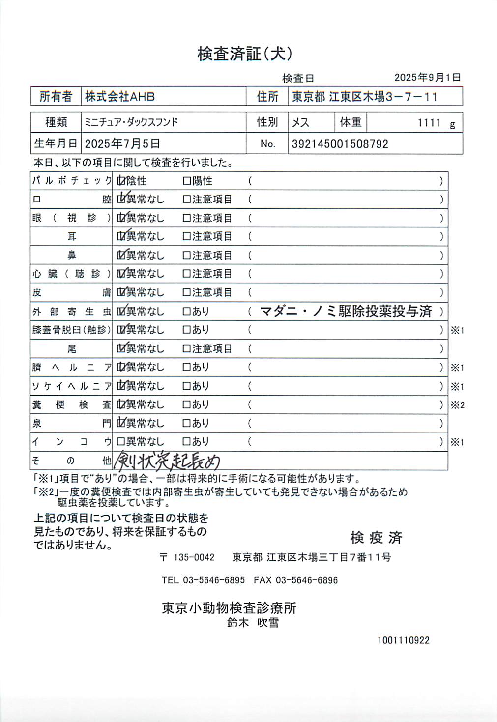 ミニチュア・ダックスフンド