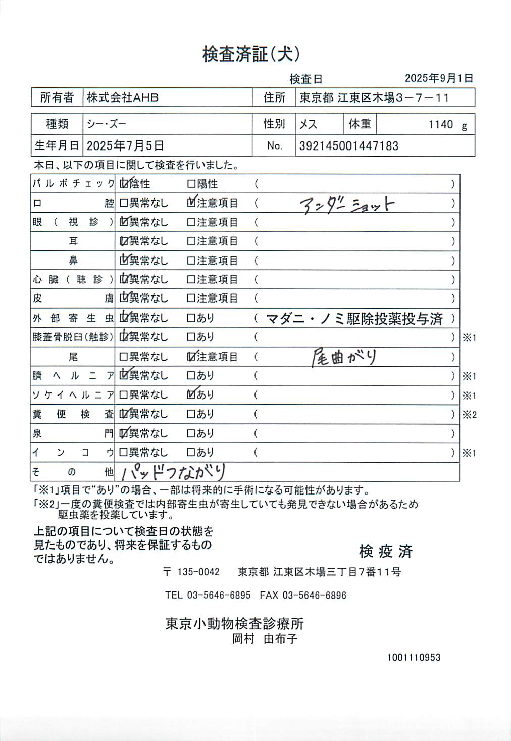 シー・ズー