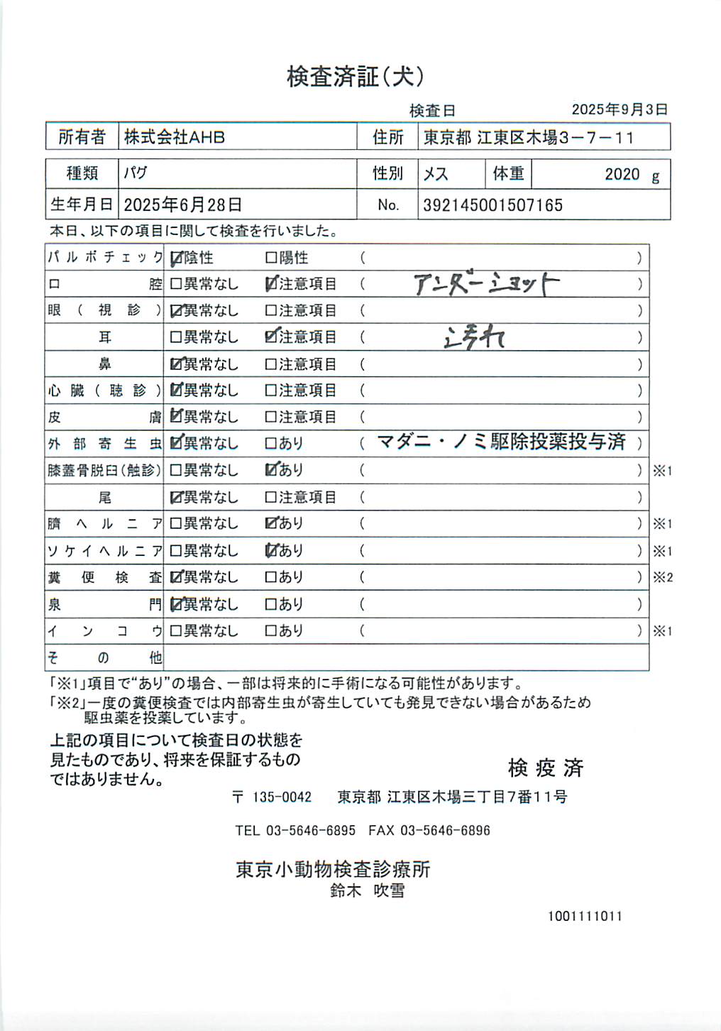 パグ