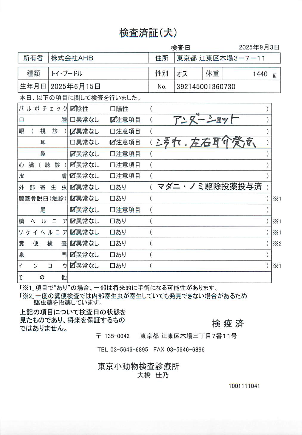 トイ・プードル