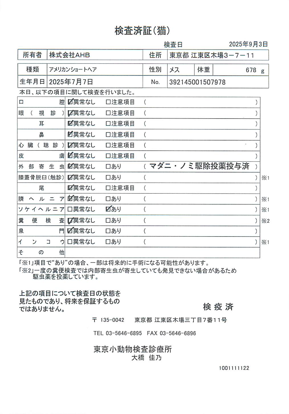 アメリカンショートヘア