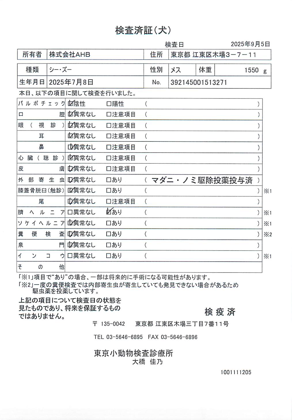 シー・ズー