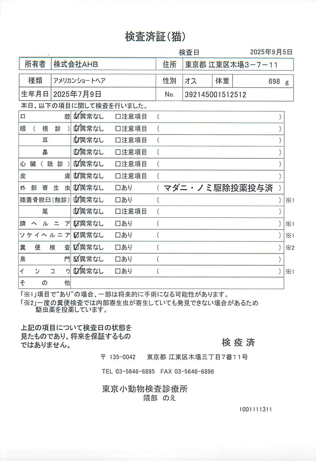 アメリカンショートヘア