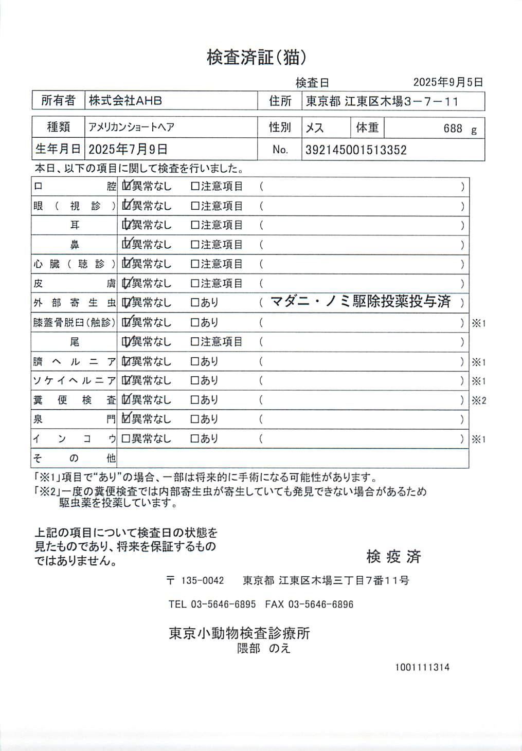 アメリカンショートヘア