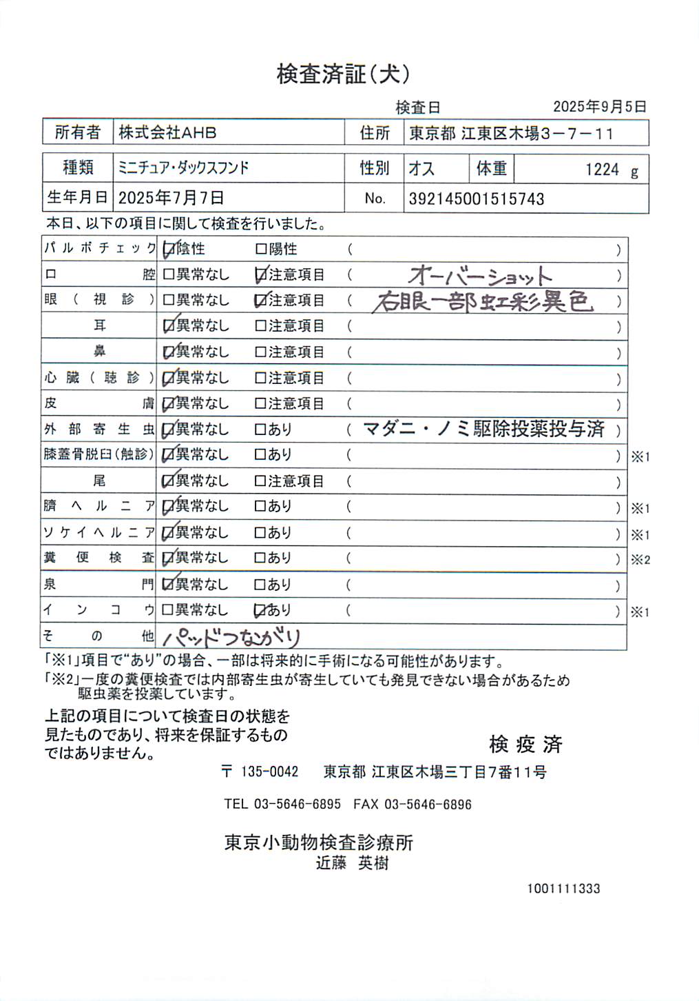 ミニチュア・ダックスフンド