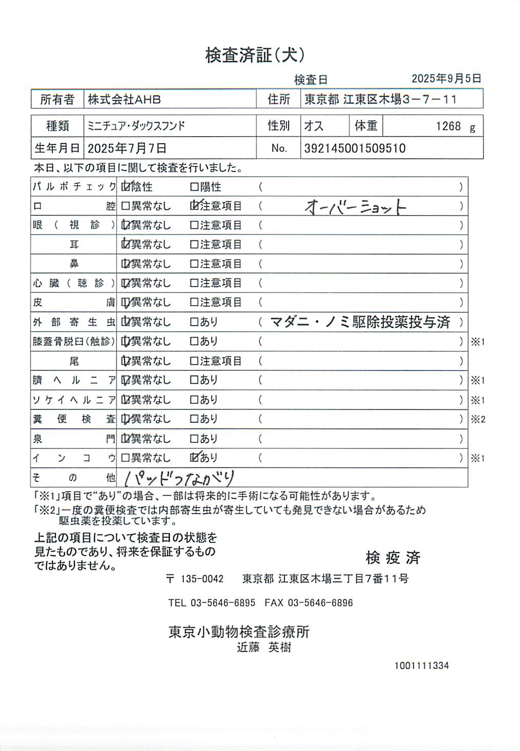 ミニチュア・ダックスフンド