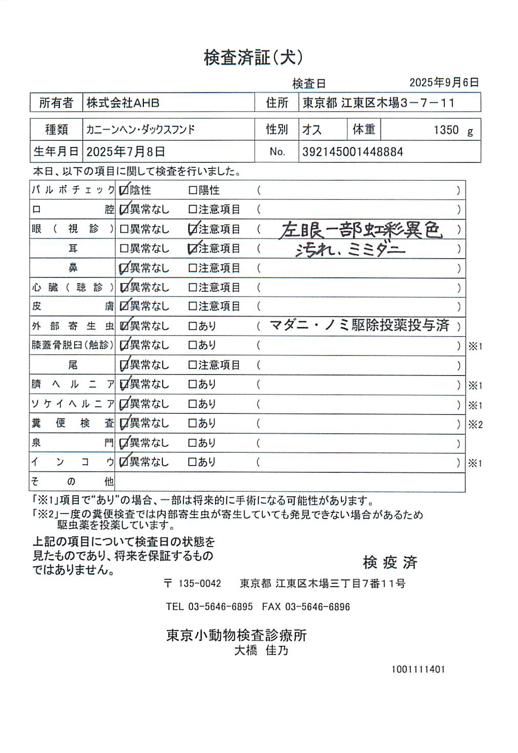 カニーンヘン・ダックスフンド