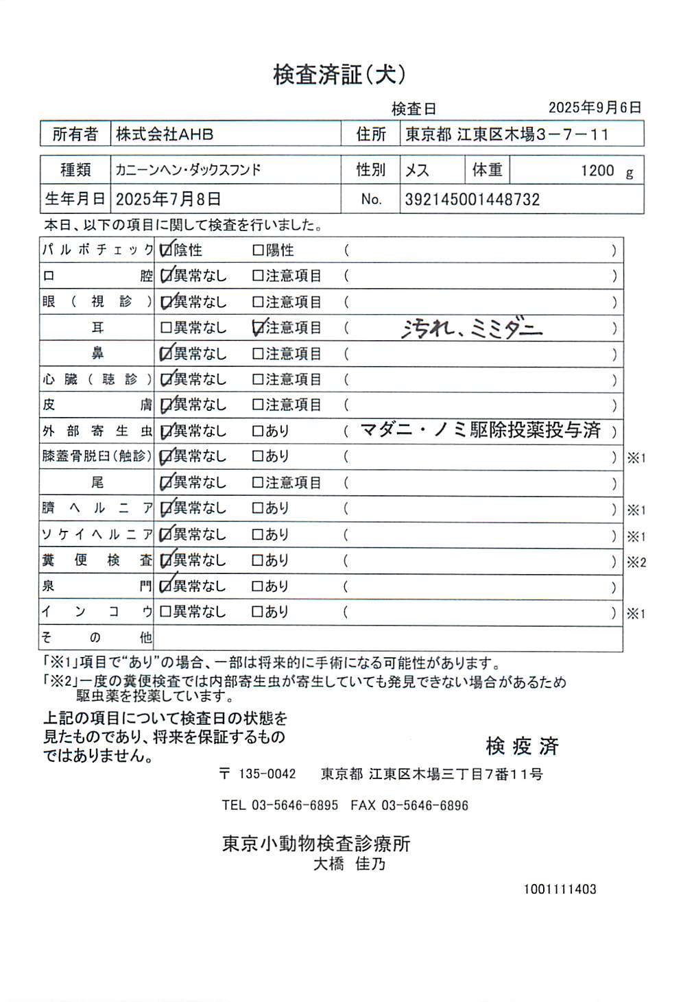 カニーンヘン・ダックスフンド