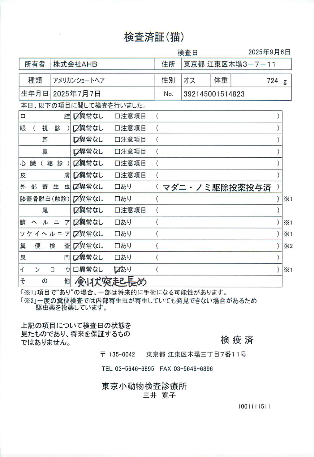 アメリカンショートヘア