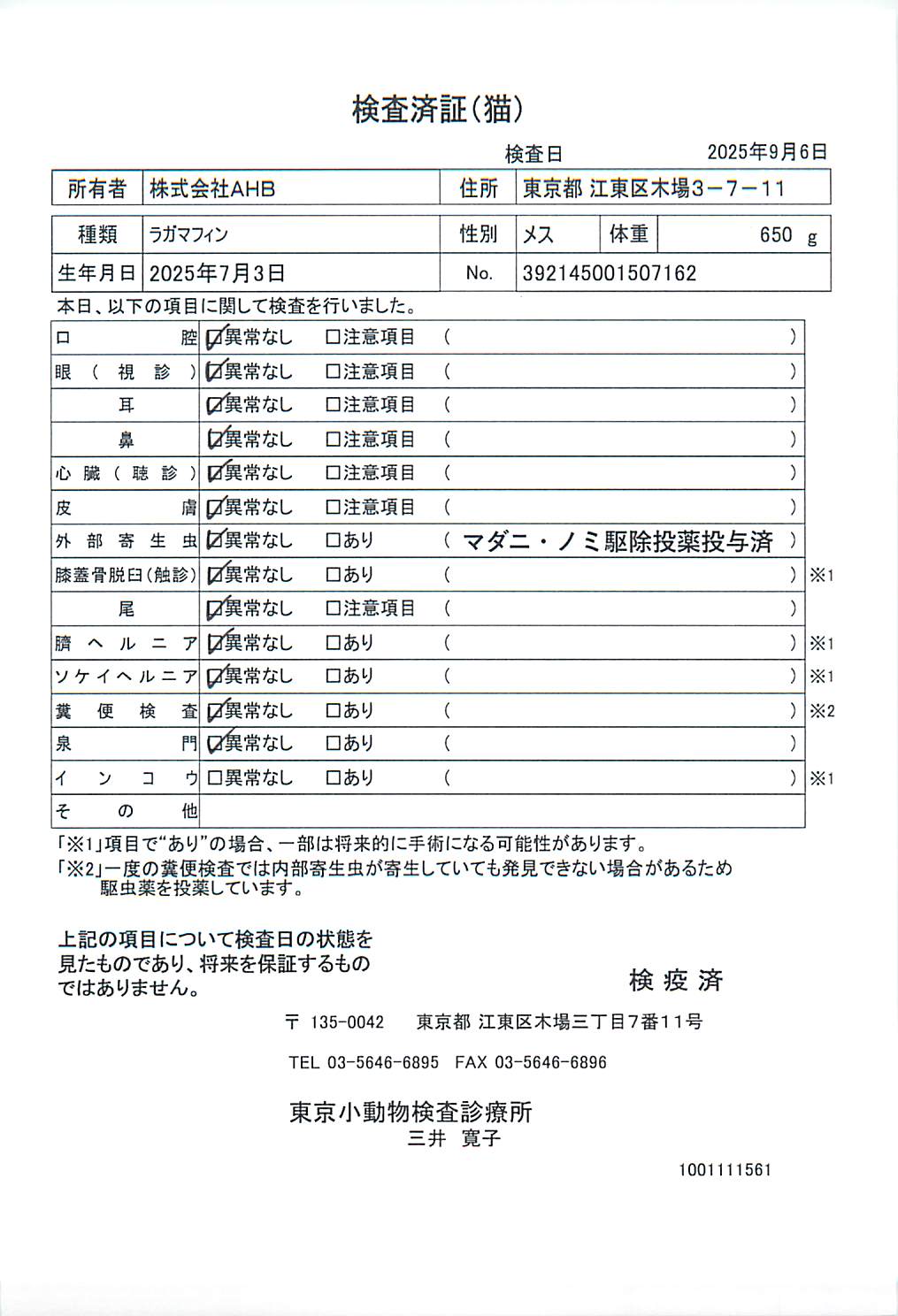 ラガマフィン