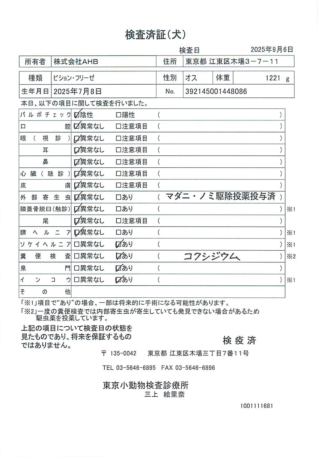 ビション・フリーゼ