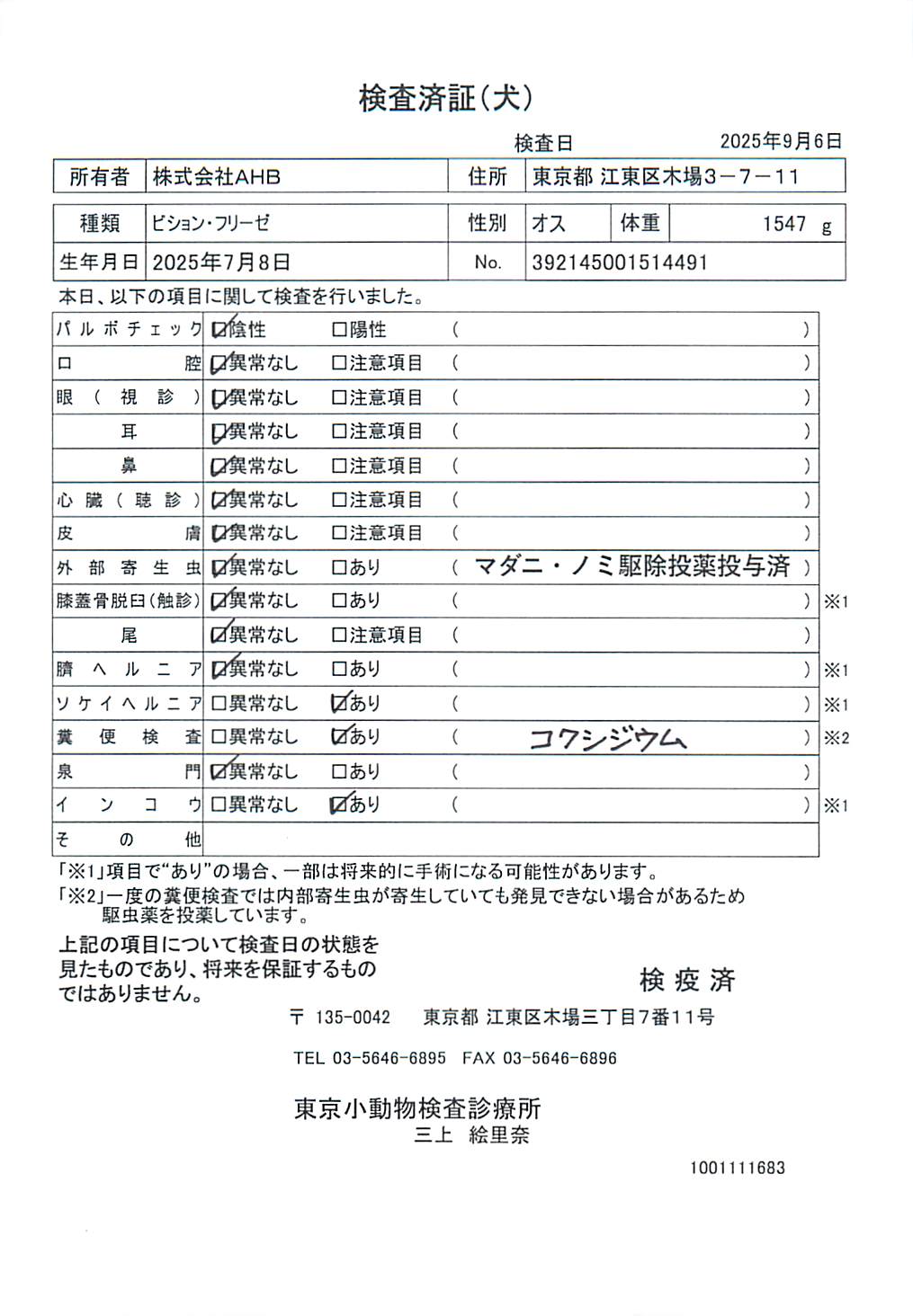 ビション・フリーゼ