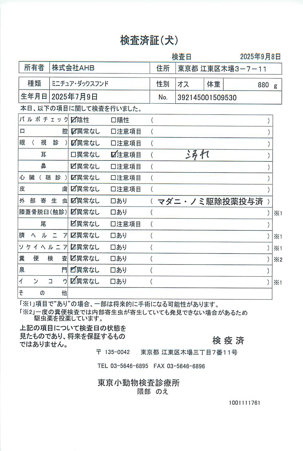 ミニチュア・ダックスフンド