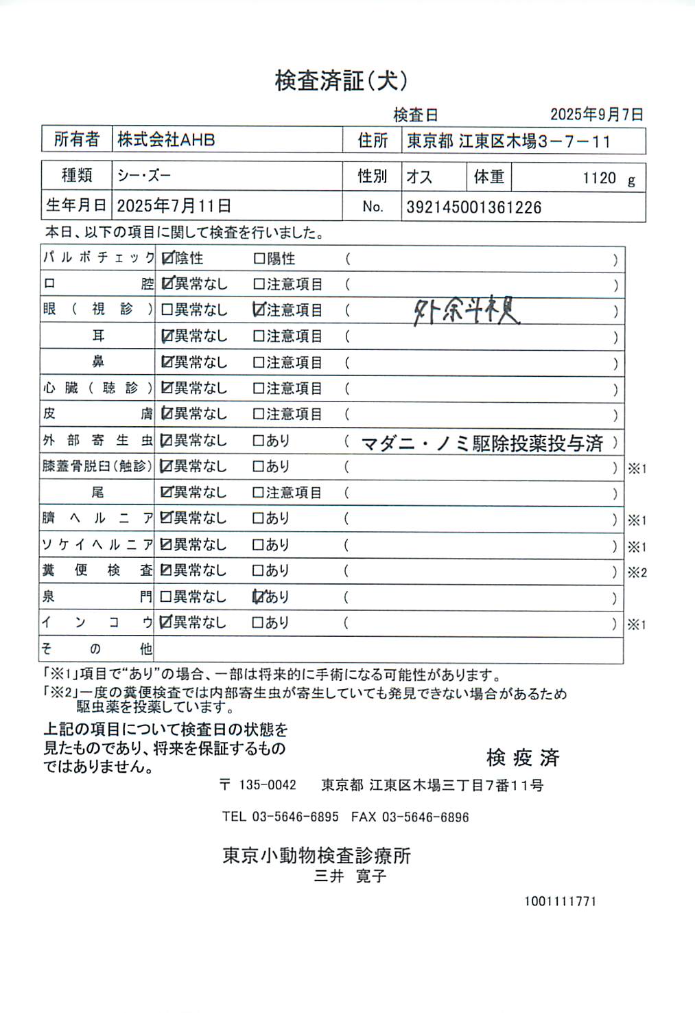 シー・ズー