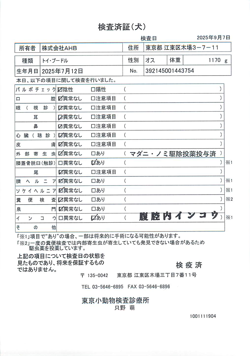トイ・プードル