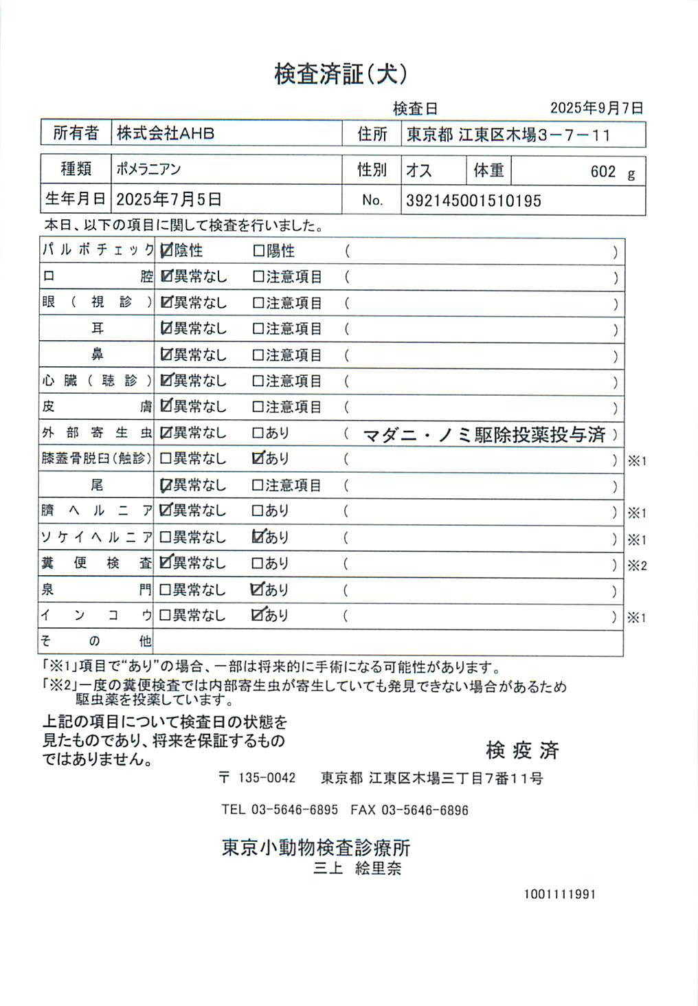 ポメラニアン