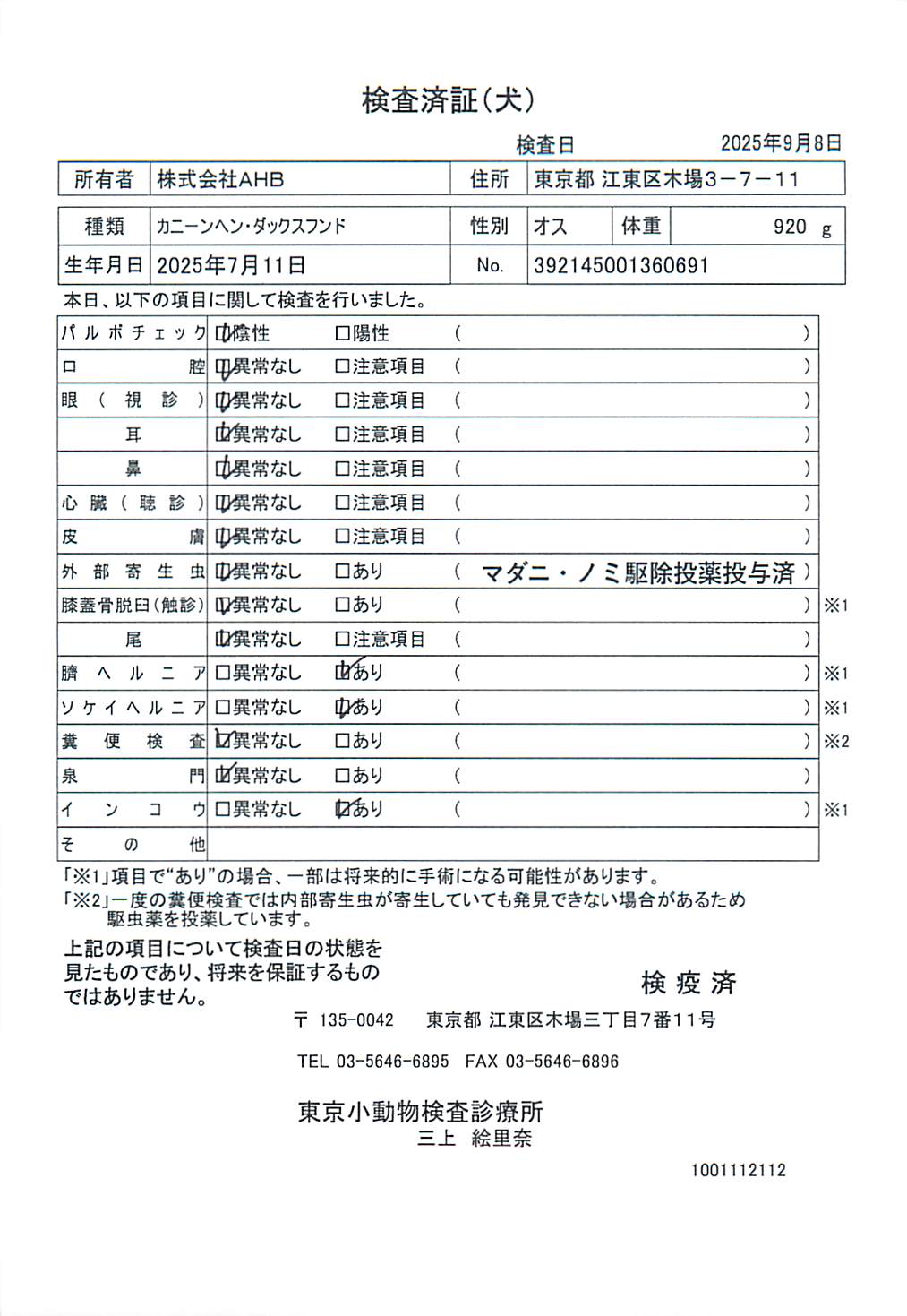 カニーンヘン・ダックスフンド