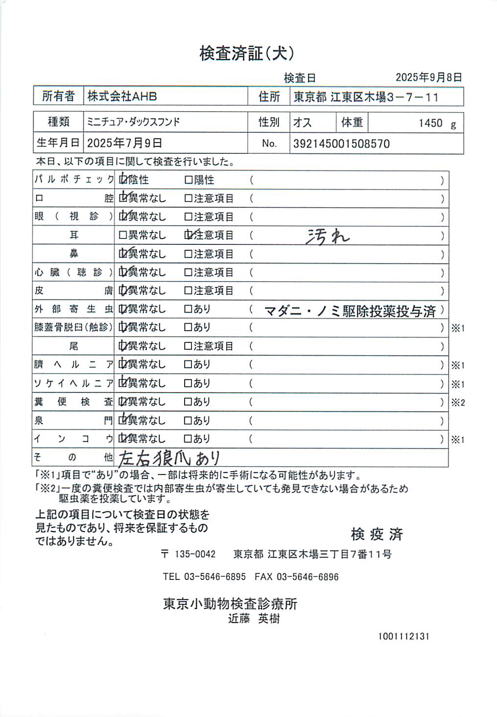 ミニチュア・ダックスフンド