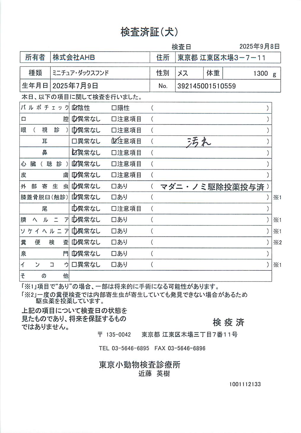 ミニチュア・ダックスフンド