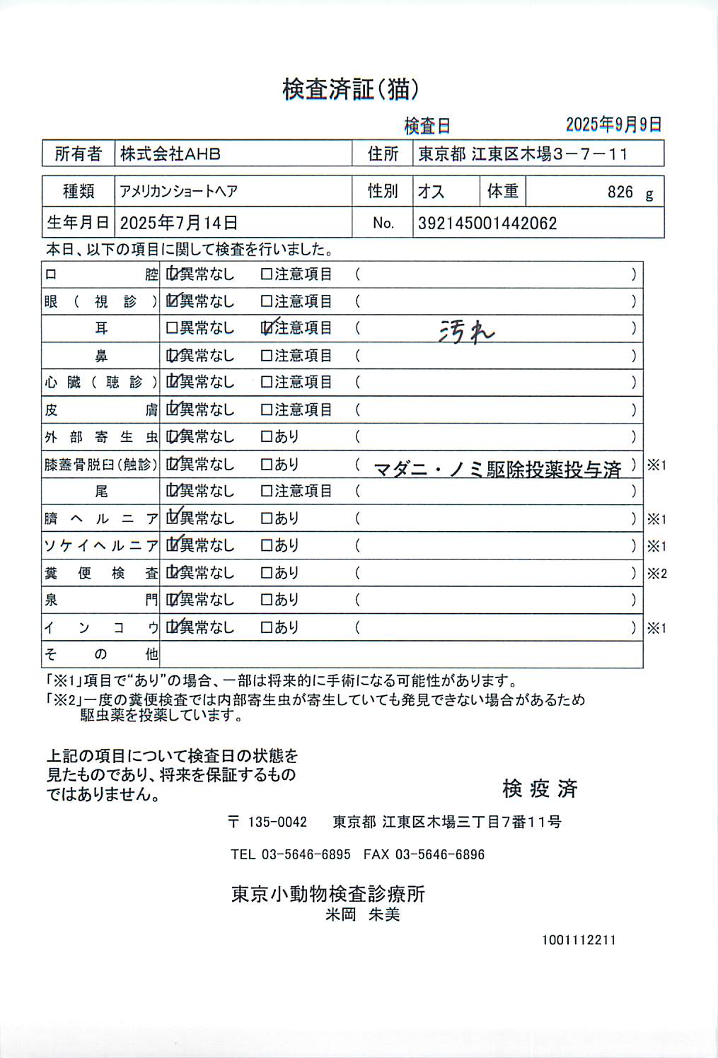 アメリカンショートヘア