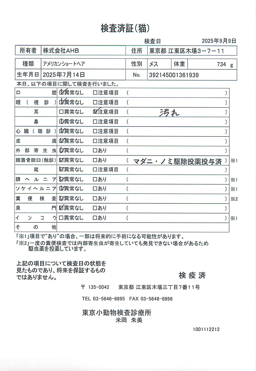 アメリカンショートヘア
