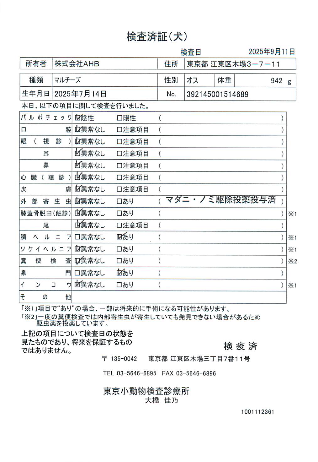 マルチーズ