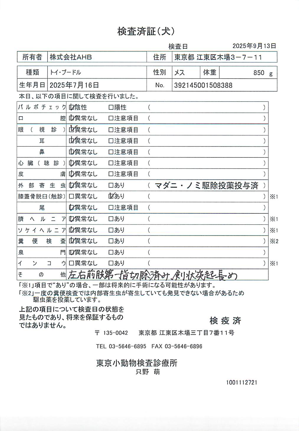 トイ・プードル