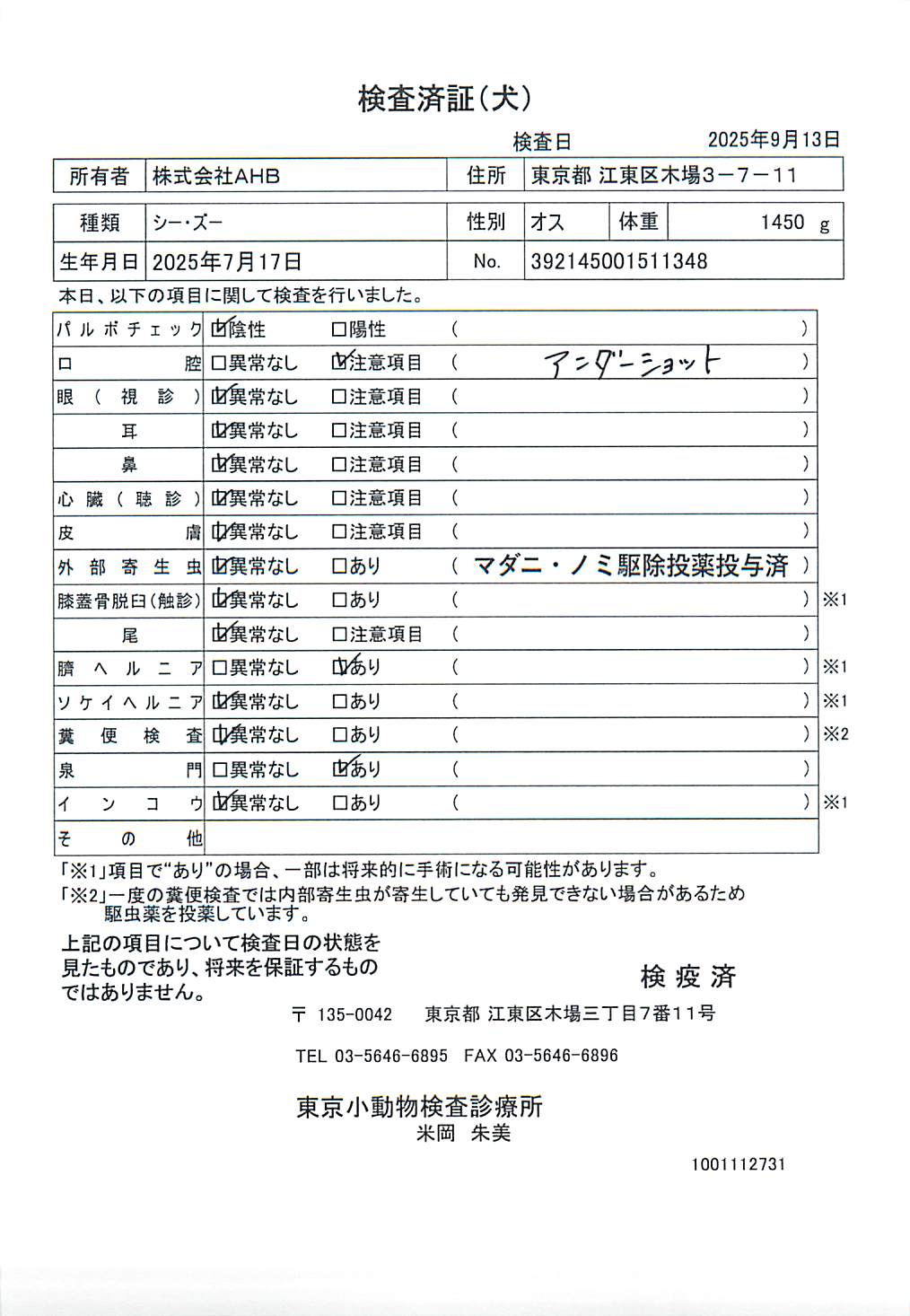 シー・ズー
