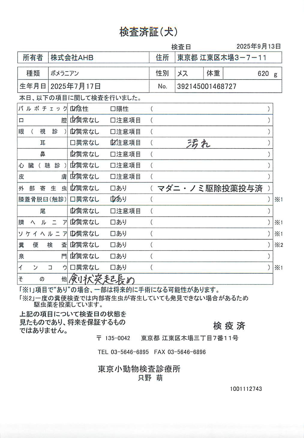 ポメラニアン