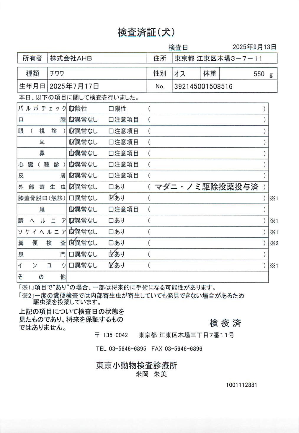 チワワ