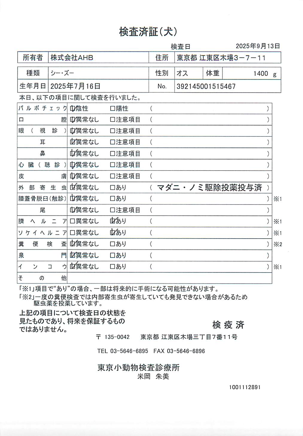 シー・ズー